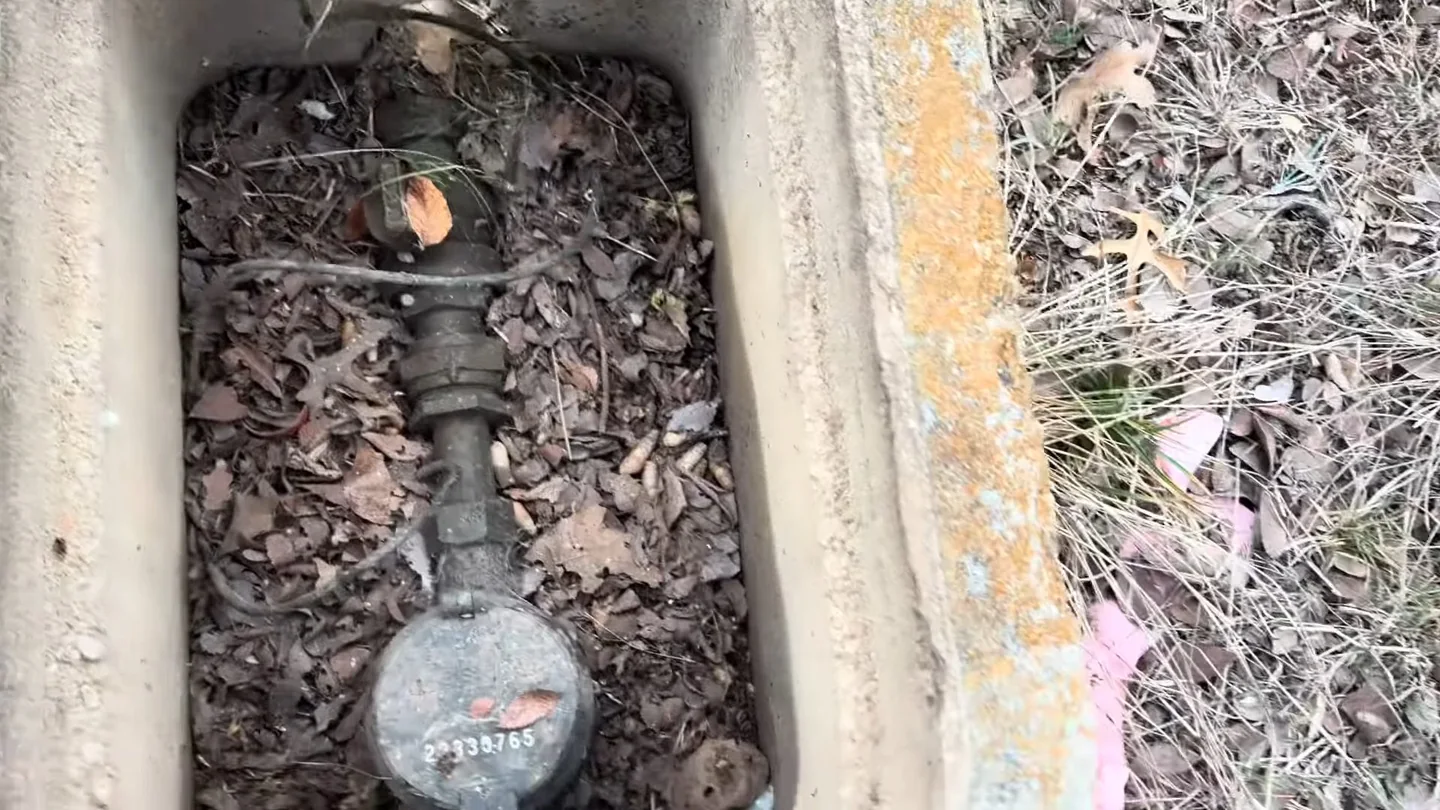 Water meter lying in a rectangular ground box filled with dry leaves and pine needles.